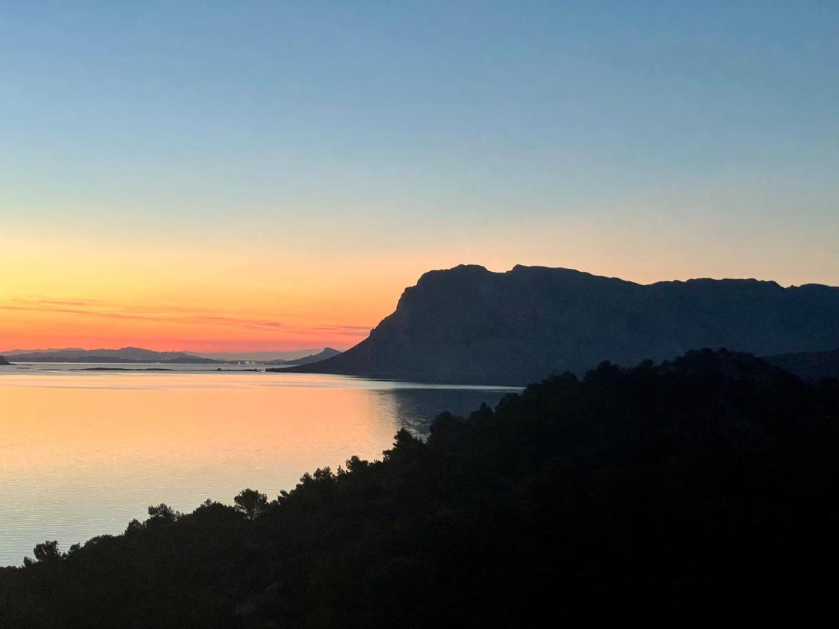 San Teodoro Punta Est Fantastico Trilocale Vista Mare Διαμέρισμα Capo Coda Cavallo Εξωτερικό φωτογραφία
