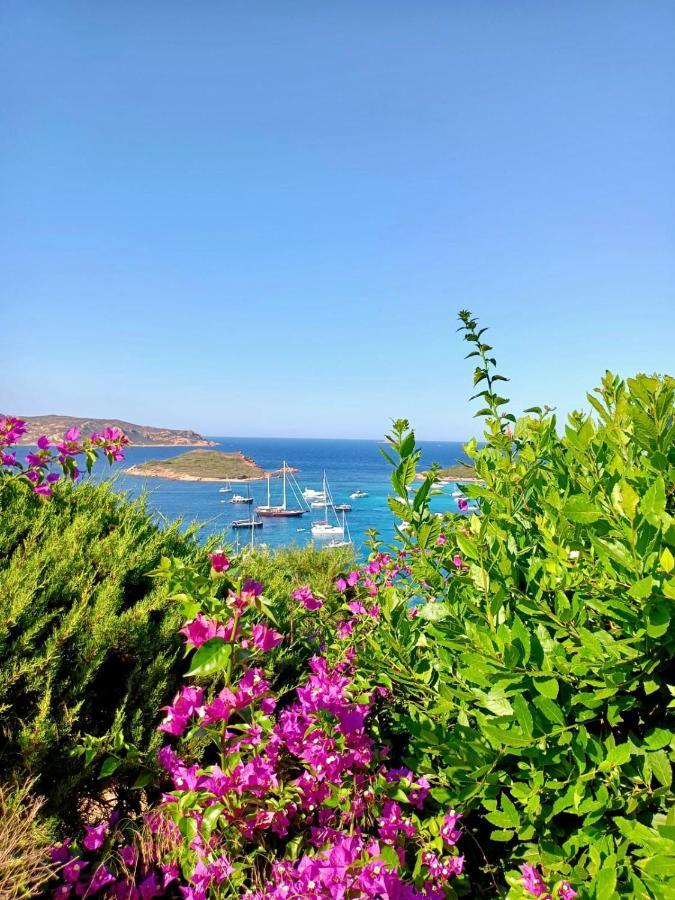 San Teodoro Punta Est Fantastico Trilocale Vista Mare Διαμέρισμα Capo Coda Cavallo Εξωτερικό φωτογραφία